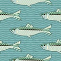 Herring seamless pattern.Vector fish background