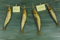 Herring sprat fish smoked wooden table Royalty Free Stock Photo