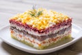 Herring under a Fur Coat. Traditional Russian multilayered salad from herring, beets, potatoes, carrots and eggs. Royalty Free Stock Photo