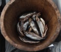 Herring in a wooden barrel - sea fish Royalty Free Stock Photo