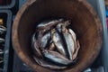 Herring in a wooden barrel - sea fish Royalty Free Stock Photo