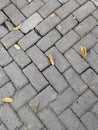 Herringbone Brick Path with Fallen Leaves Royalty Free Stock Photo