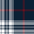 Herringbone plaid pattern vector in blue, red, white.