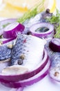 Herrings on a plate Royalty Free Stock Photo