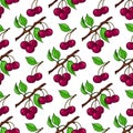 Cherry branch, red cherry and green leaves. Seamless pattern. Vector illustration Royalty Free Stock Photo