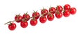 ÃÂ¡herry tomatoes on branch Royalty Free Stock Photo