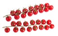 ÃÂ¡herry tomatoes on branch Royalty Free Stock Photo