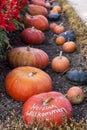 Herzlich willkommen, cucurbita pumpkin pumpkins from autumn harvest on a market Royalty Free Stock Photo