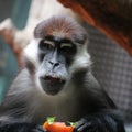 Hes hungry philly zoo