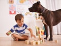 Hes the perfect playmate. A young boy playing with building blocks in his room while his dog stands by. Royalty Free Stock Photo