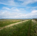 Hesketh Marsh Nature Reserve Lancashire England