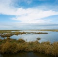 Hesketh Marsh Nature Reserve Lancashire England