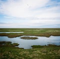 Hesketh Marsh Nature Reserve Lancashire England