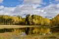 Hesperus Mountain, DibÃÂ© Nitsaa, Golden Autumn, Colorful Colorado Royalty Free Stock Photo