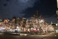 Het Plein in Den Haag met verlichte bomen voor de feestdagen Royalty Free Stock Photo