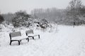 Nature reserve at Knokke-Heist in wintertime. Royalty Free Stock Photo