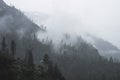 Fogs Among Trees, Dam, and Mountains on a Rainy Day in Hetch Hetchy Reservoir Area in Yosemite National Park, California Royalty Free Stock Photo