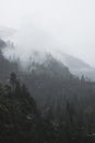 Fogs Among Trees, Dam, and Mountains on a Rainy Day in Hetch Hetchy Reservoir Area in Yosemite National Park, California Royalty Free Stock Photo