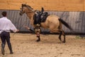 Heudicourt, France, August 24, 2024. Equestrian show at Lake Madine with the Equi Danse company.