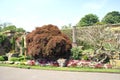 Hever castle garden in England Royalty Free Stock Photo