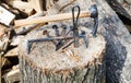 Hew ax and forged hardware on wooden deck