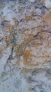 Hewn stone surface. White-orange stone surface.