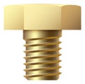 Hex bolt. Golden ridge thread side view