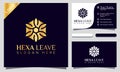 Hexagon Bee Beauty Life logo design vector illustration, minimalist elegant, modern company and business card