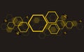 Hexagon bee hive design art and space background vector