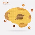 Hexagon brain hive. Infographics.