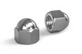 Hexagon domed cap nut