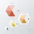 Hexagon Geometric Shape Business Infographic