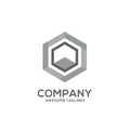 Hexagon grey color logo concept illustration