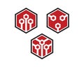 Hexagon Hive Cube logo icon