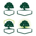 Hexagon Oak Tree Ecology Silhouette Logo Variation Royalty Free Stock Photo