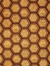 Hexagon ornate golden ceiling pattern