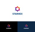 Hexagon Star Colorful Logo