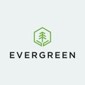 Hexagon Tree Logo Design Vector Illustration