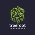 Modern flat hexagon tree root logo template