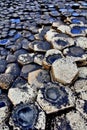 The hexagonal Basalt slabs of Giants Causeway