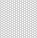 Hexagonal cell texture. Honey hexagon cells, honeyed comb grid grill texture and geometric hive honeycombs, mosaic or speaker