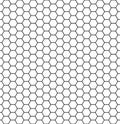 Hexagonal cell texture. Honey hexagon cells, honeyed comb grid grill texture and geometric hive honeycombs, mosaic or speaker