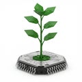 Hexagonal computer chip with circuit patterns. A stylized green plant with angular, Royalty Free Stock Photo