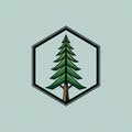 Hexagonal emblem featuring a stylized evergreen tree with a brown trunk and dark gre Royalty Free Stock Photo