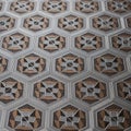 A metallic appearance, resembling etched metal or intricate tiling, emphas Royalty Free Stock Photo