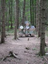 Hexagonal glass sculpture in the middle of forest