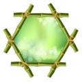 Hexagonal green bamboo poles frame with rope and blurred background