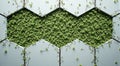 Hexagonal green wall with lush foliage design and natural growth patterns Royalty Free Stock Photo