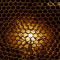 Hexagonal honeycomb structure with empty cells, illuminated from behind. The comb Royalty Free Stock Photo