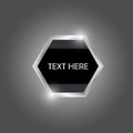 Shiny Hexagonal Silver Icon